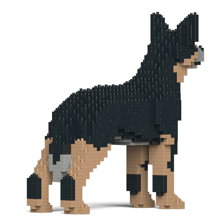 Australischer Treibhund 01-M01 