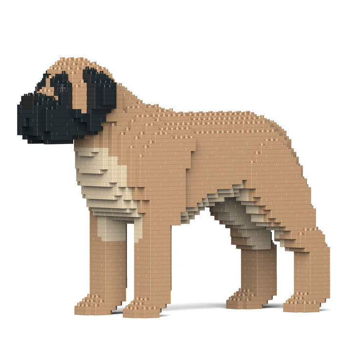 Englischer Mastiff 01-M01 