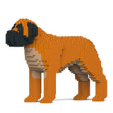 Englischer Mastiff 01-M02 