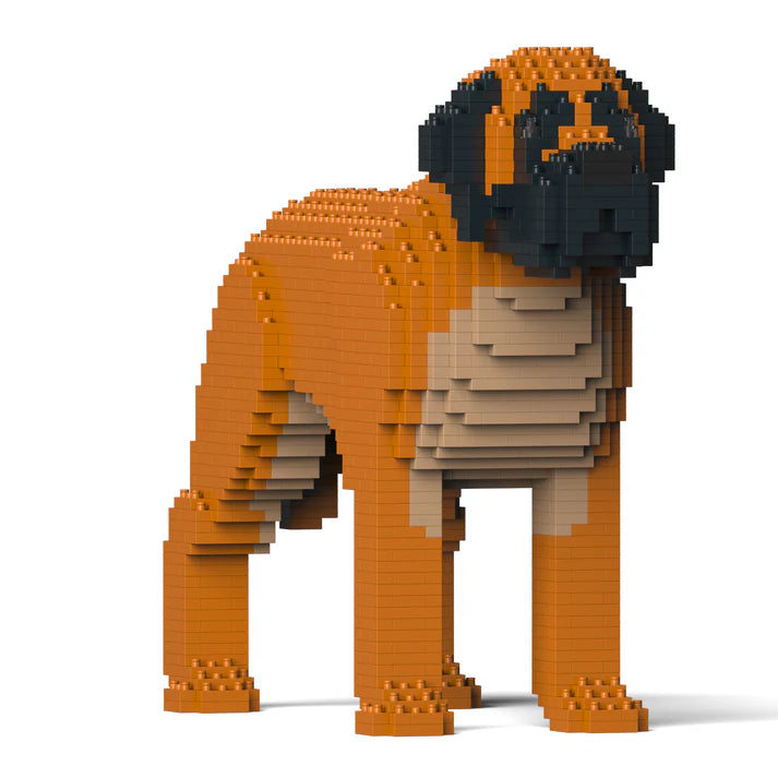 Englischer Mastiff 01-M02 