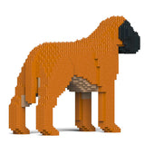 Englischer Mastiff 01-M02 