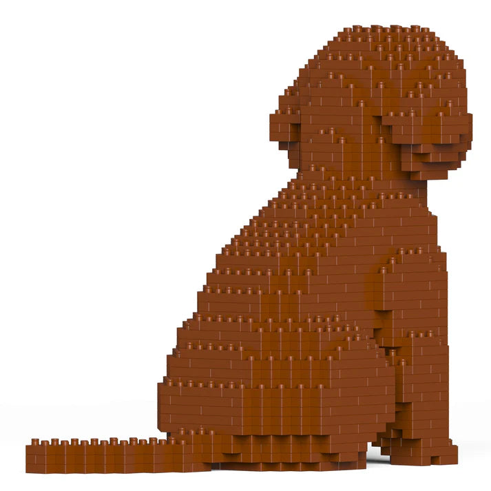 Cockapoo 01-M02 