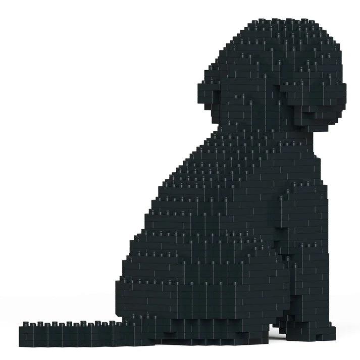 Cockapoo 01-M03