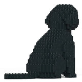 Cockapoo 01-M03 