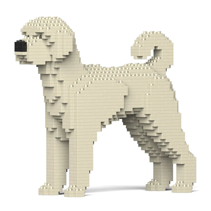 Labradoodle 01-M01 