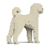 Labradoodle 01-M01 