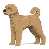 Labradoodle 01-M02 