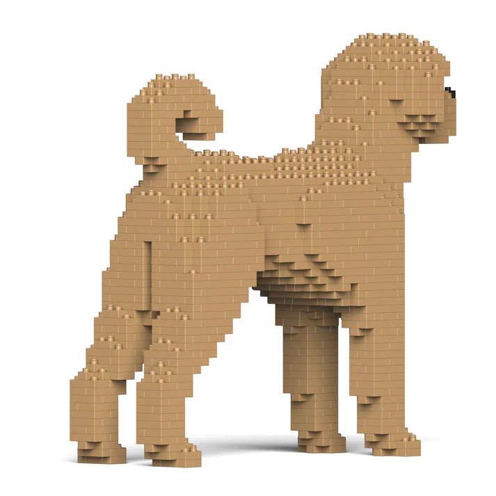 Labradoodle 01-M02 