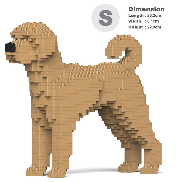 Labradoodle 01-M02 