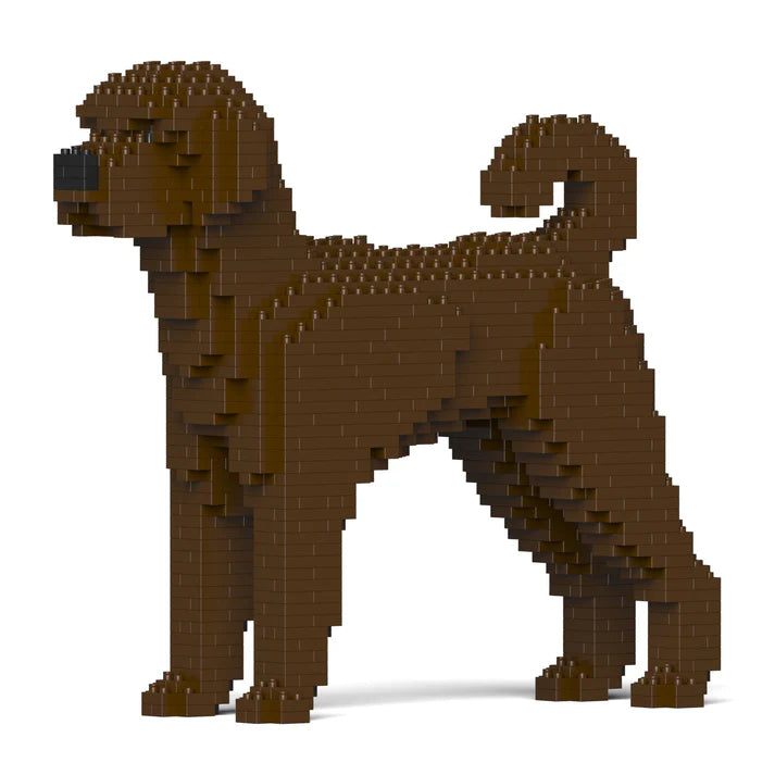 Labradoodle 01-M03