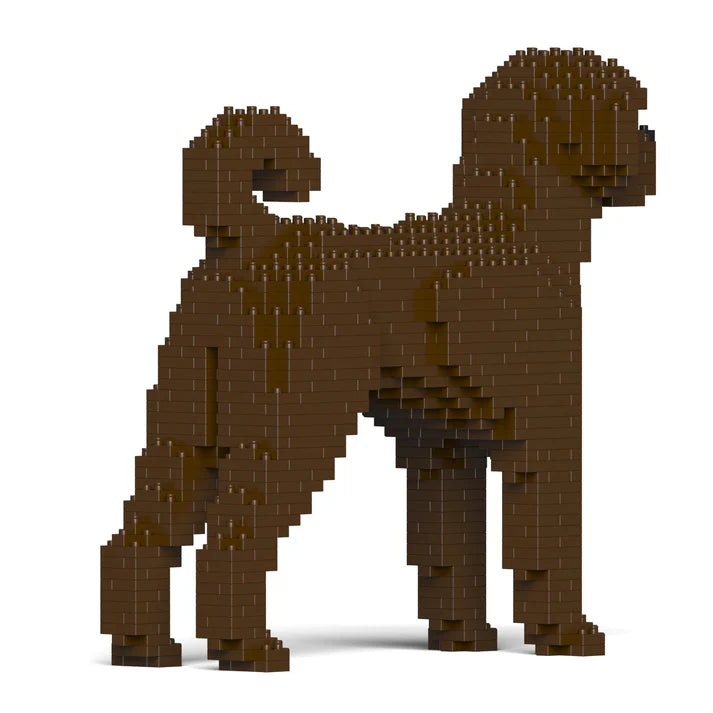 Labradoodle 01-M03 