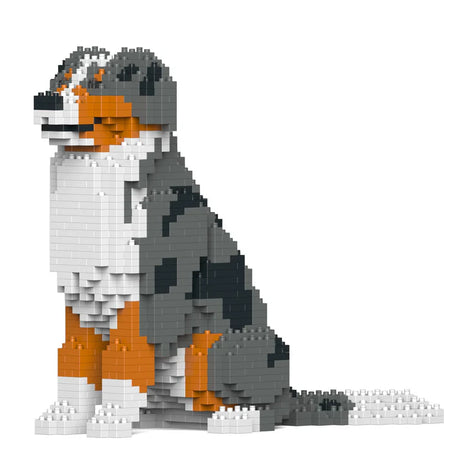 Australian Shepherd 01-M01