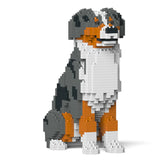 Australian Shepherd 01-M01