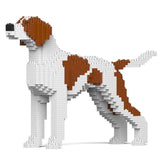 English Pointer 01-M01