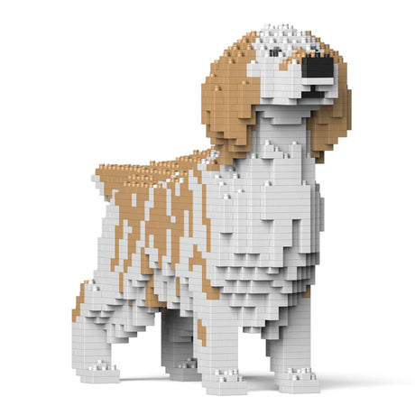 English Setter 01-M01