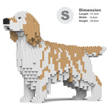 English Setter 01-M01