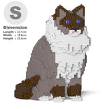 Ragdoll-Katze 01S-M03 