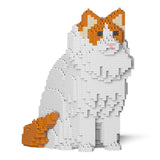 Ragdoll-Katze 01S-M04 