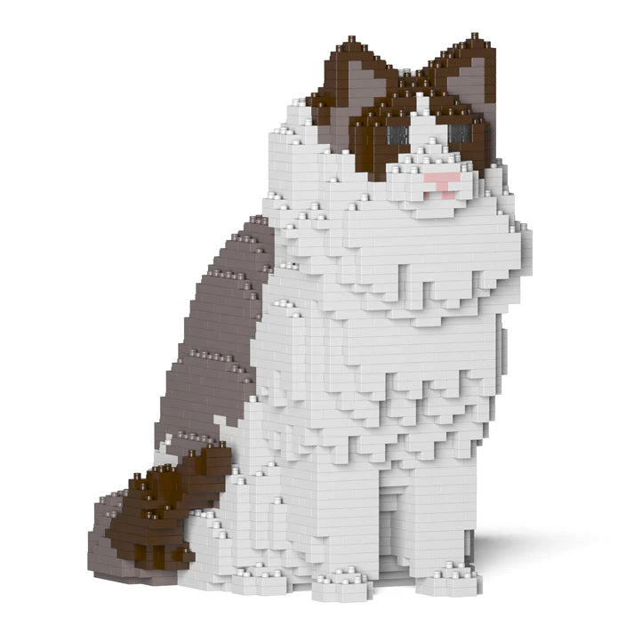 Gato Ragdoll 01S-M01 