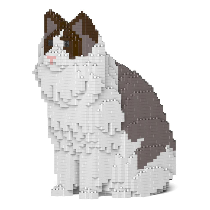 Ragdoll-Katze 01S-M01 