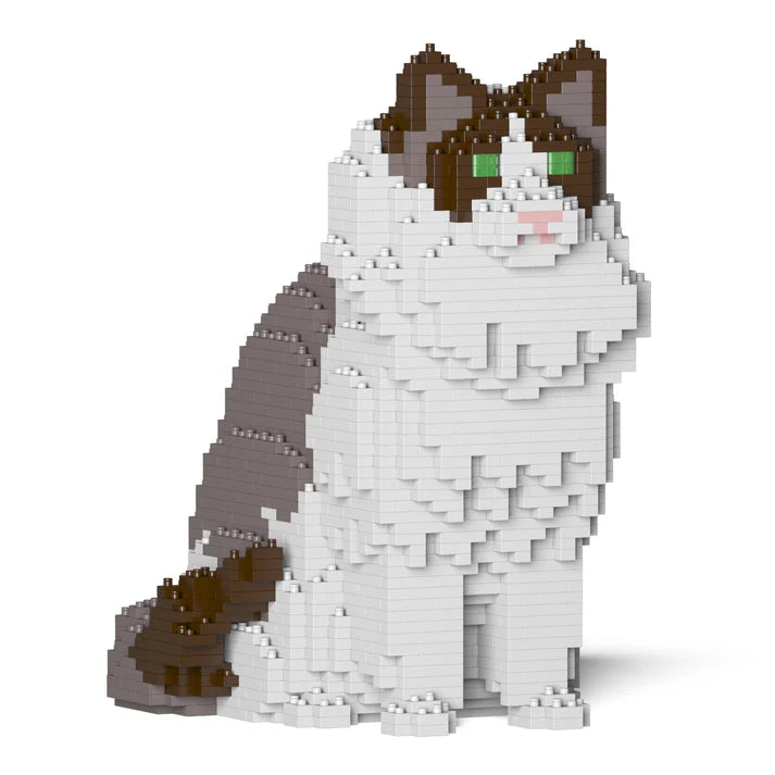 Gato Ragdoll 01S-M01 