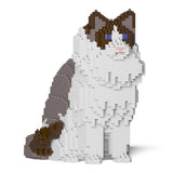 Ragdoll-Katze 01S-M01 