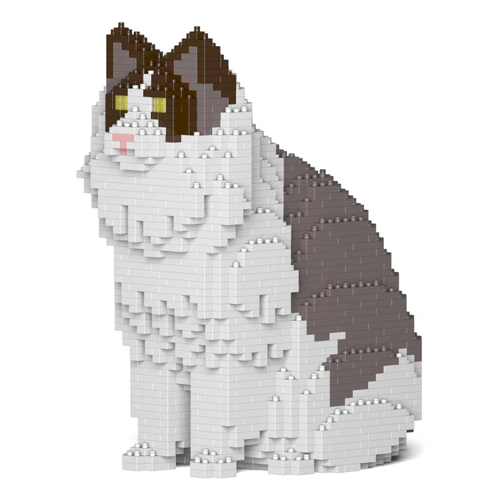 Gato Ragdoll 01S-M01 