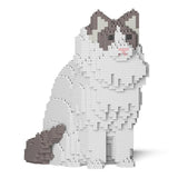 Ragdoll-Katze 01S-M02 