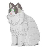 Gato Ragdoll 01S-M02 