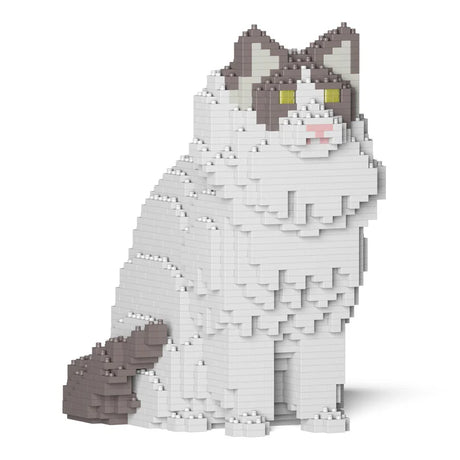 Gato Ragdoll 01S-M02 