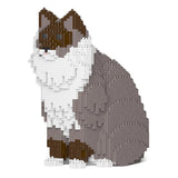 Gato Ragdoll 01S-M03 