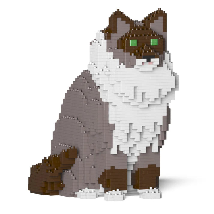 Ragdoll-Katze 01S-M03 