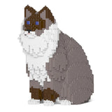 Ragdoll-Katze 01S-M03 