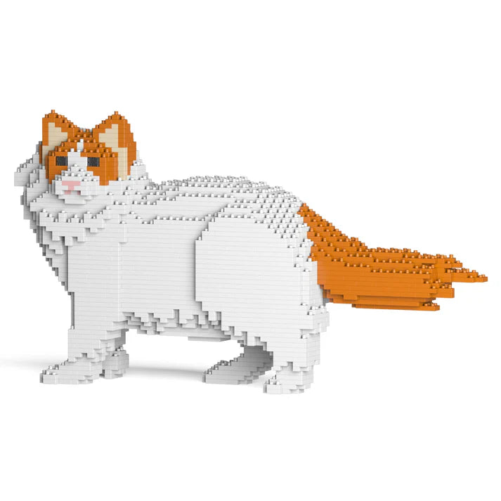 Ragdoll-Katze 02S-M04 