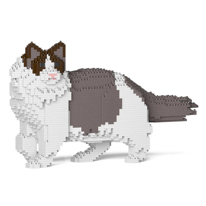 Gato Ragdoll 02S-M01 