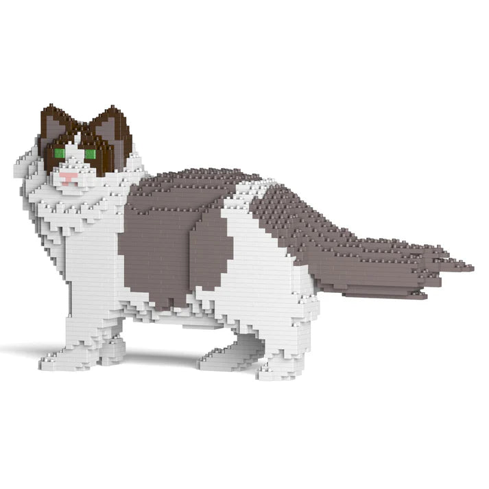 Gato Ragdoll 02S-M01 