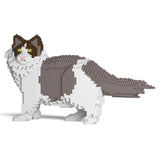 Ragdoll-Katze 02S-M01 