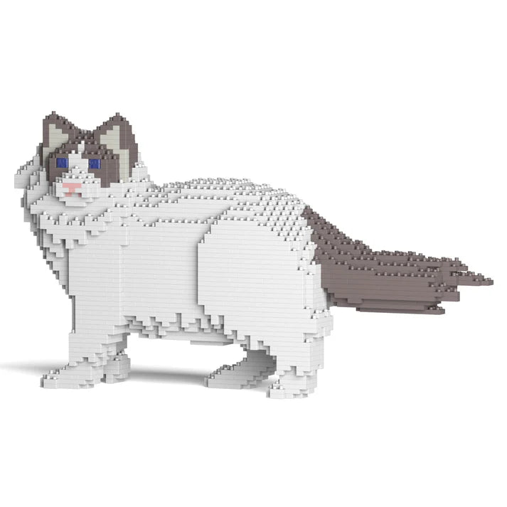 Ragdoll-Katze 02S-M02 