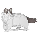 Ragdoll-Katze 02S-M02 