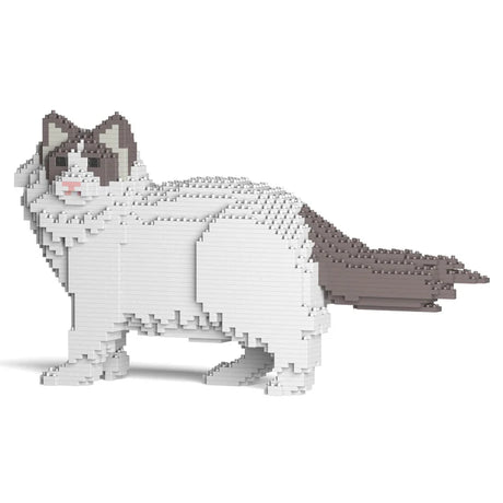 Gato Ragdoll 02S-M02 