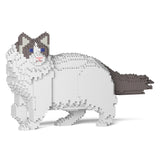 Gato Ragdoll 02S-M02 