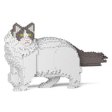 Ragdoll Cat 02S-M02