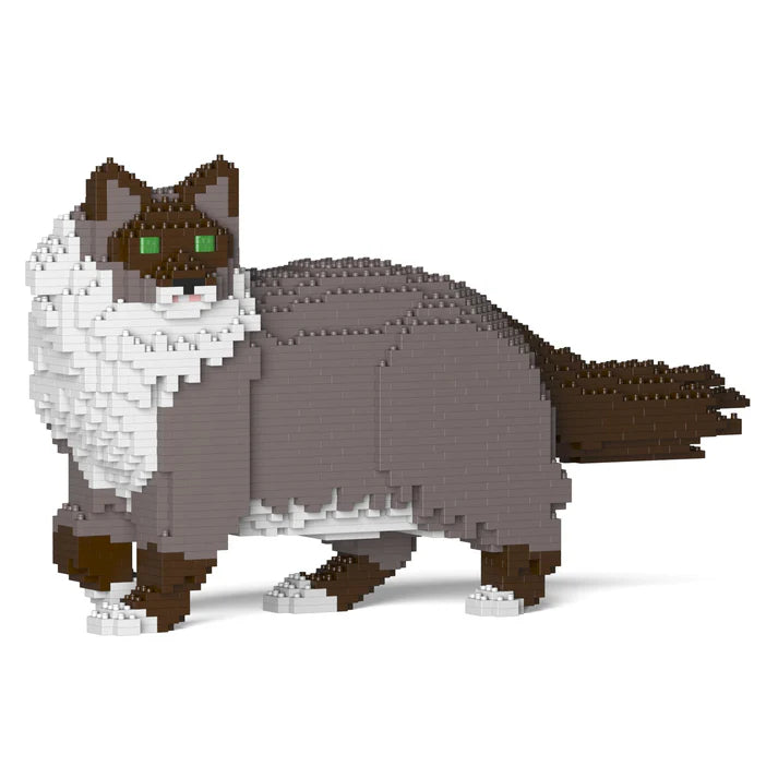 Ragdoll-Katze 02S-M03 