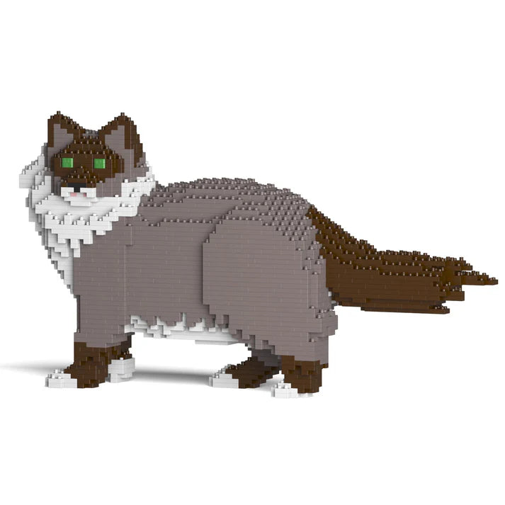 Gato Ragdoll 02S-M03 