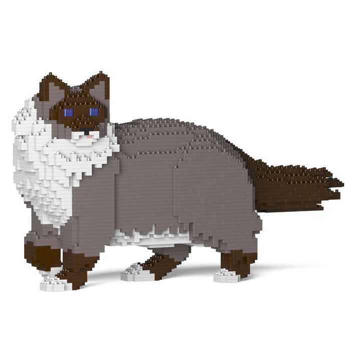 Ragdoll Cat 02S-M03