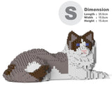 Ragdoll-Katze 03S-M01 