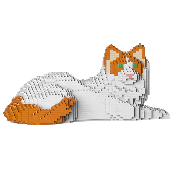 Gato Ragdoll 03S-M04 