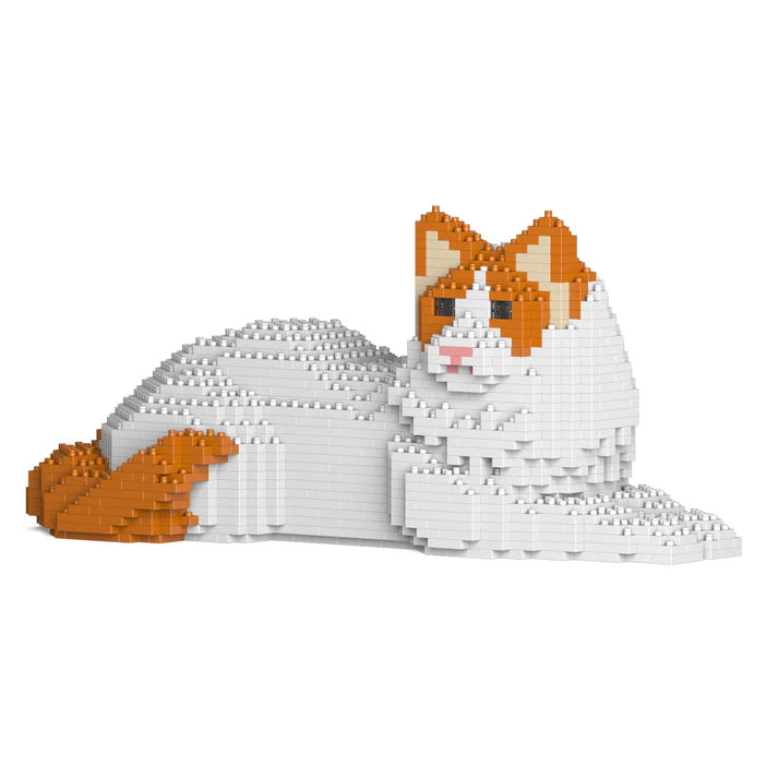 Ragdoll-Katze 03S-M04 