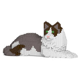 Gato Ragdoll 03S-M01 