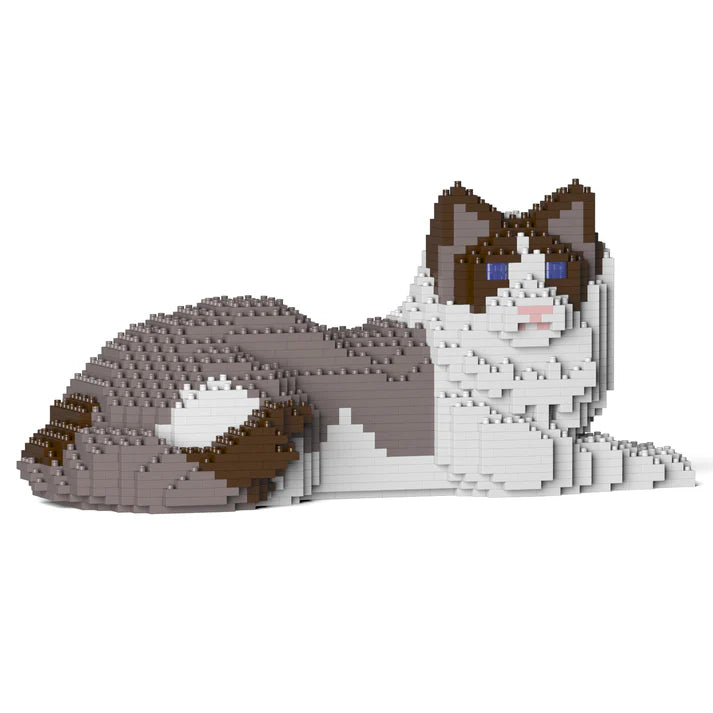 Gato Ragdoll 03S-M01 